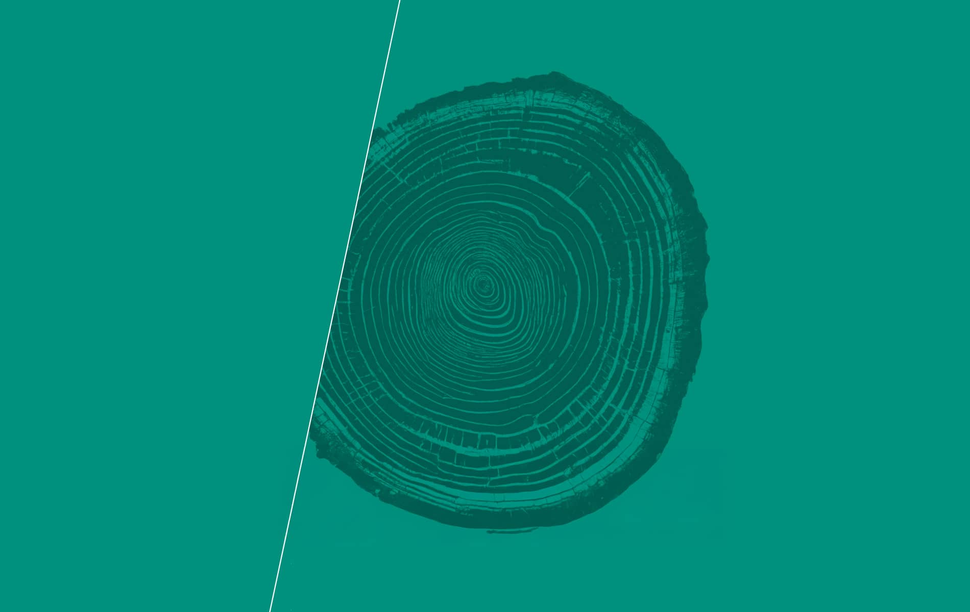Faber Group Sustainability Report