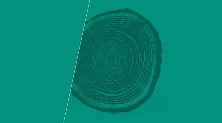 Faber Group Sustainability Report