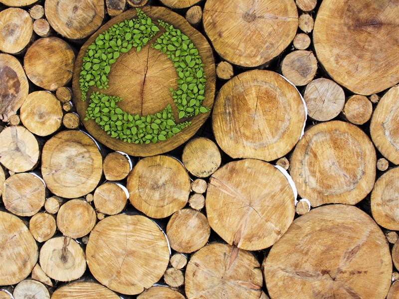 Sustainability